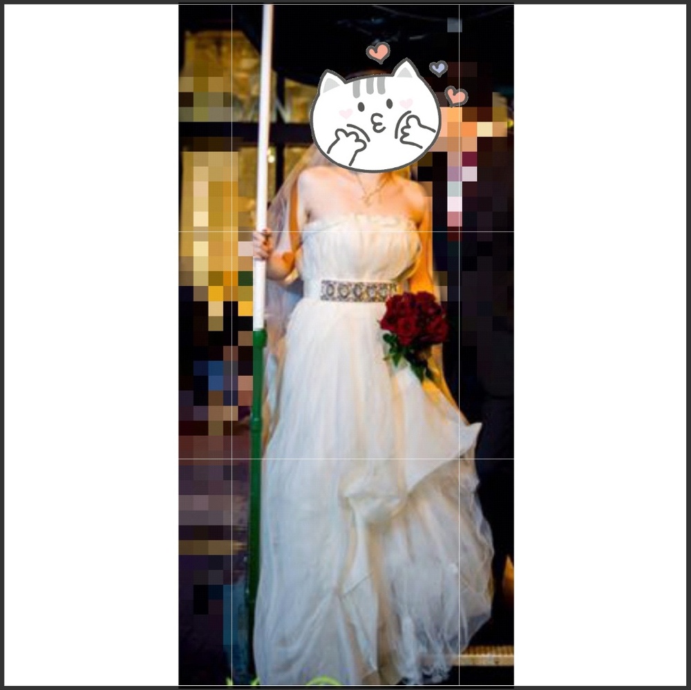 Authentic Vera Wang Wedding Dress!